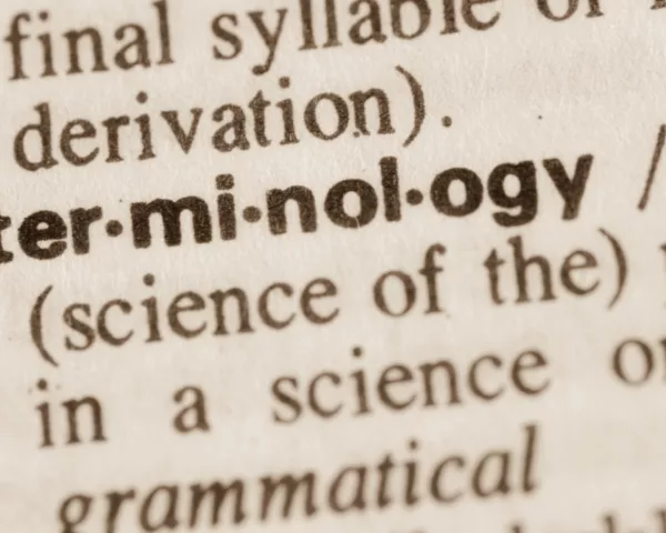 Uni terms